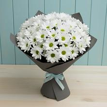 Букет цветов из:  Хризантемы в Ченцово