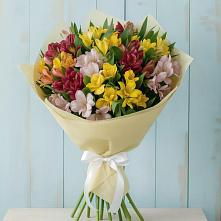 Букет цветов из:  Альстромерии в Ченцово